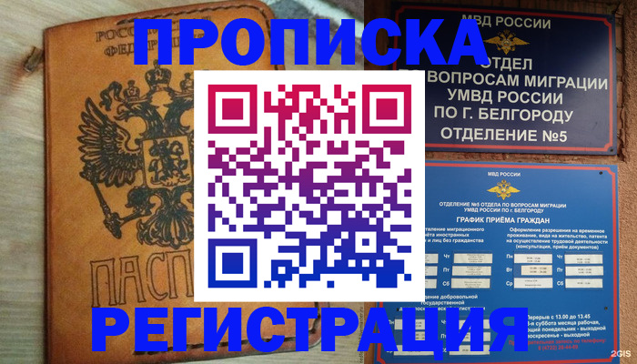 прописка для работы в Электрогорске